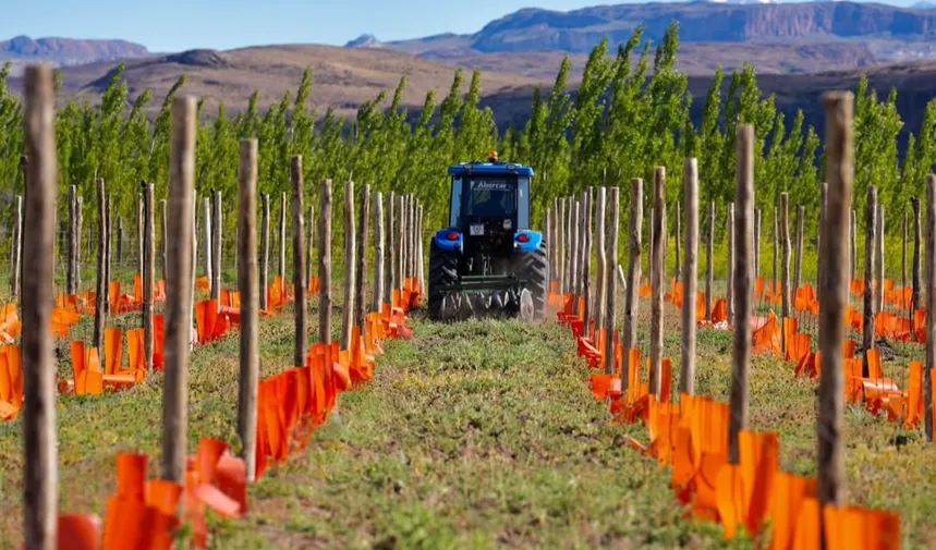 Captura de pantalla 2025-12-28 203417