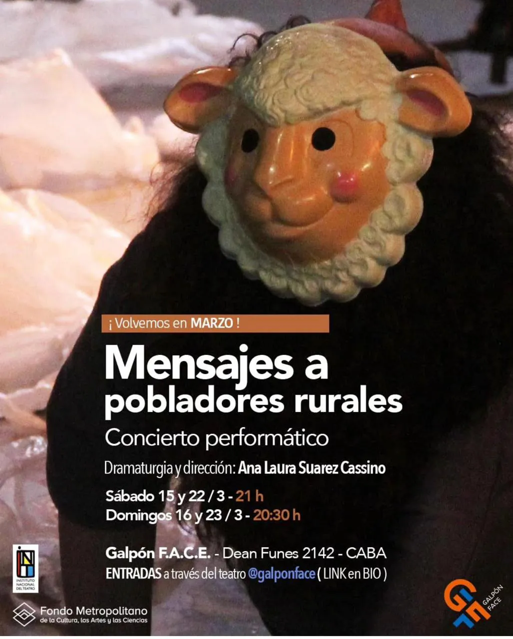 WhatsApp Image 2025-03-19 at 09.30.17