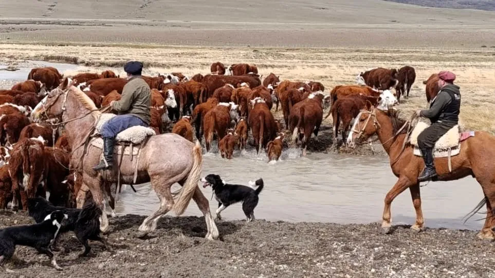 Allanamiento estancia1-Sl