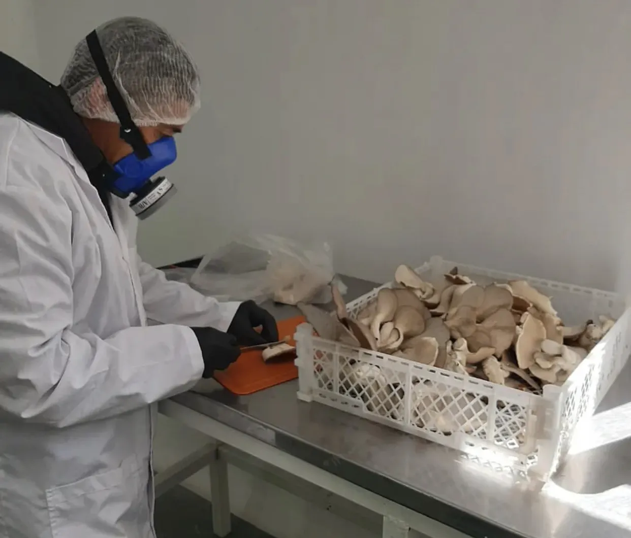 A800866F-0D20-4A49-89FA-52B997D579FA