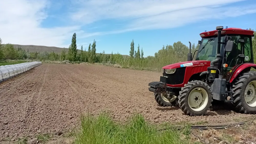 intaeeasc_maiz12122025_3