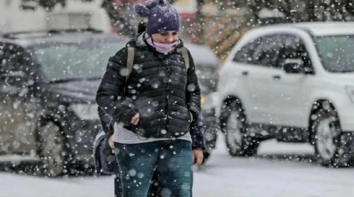 Nieve