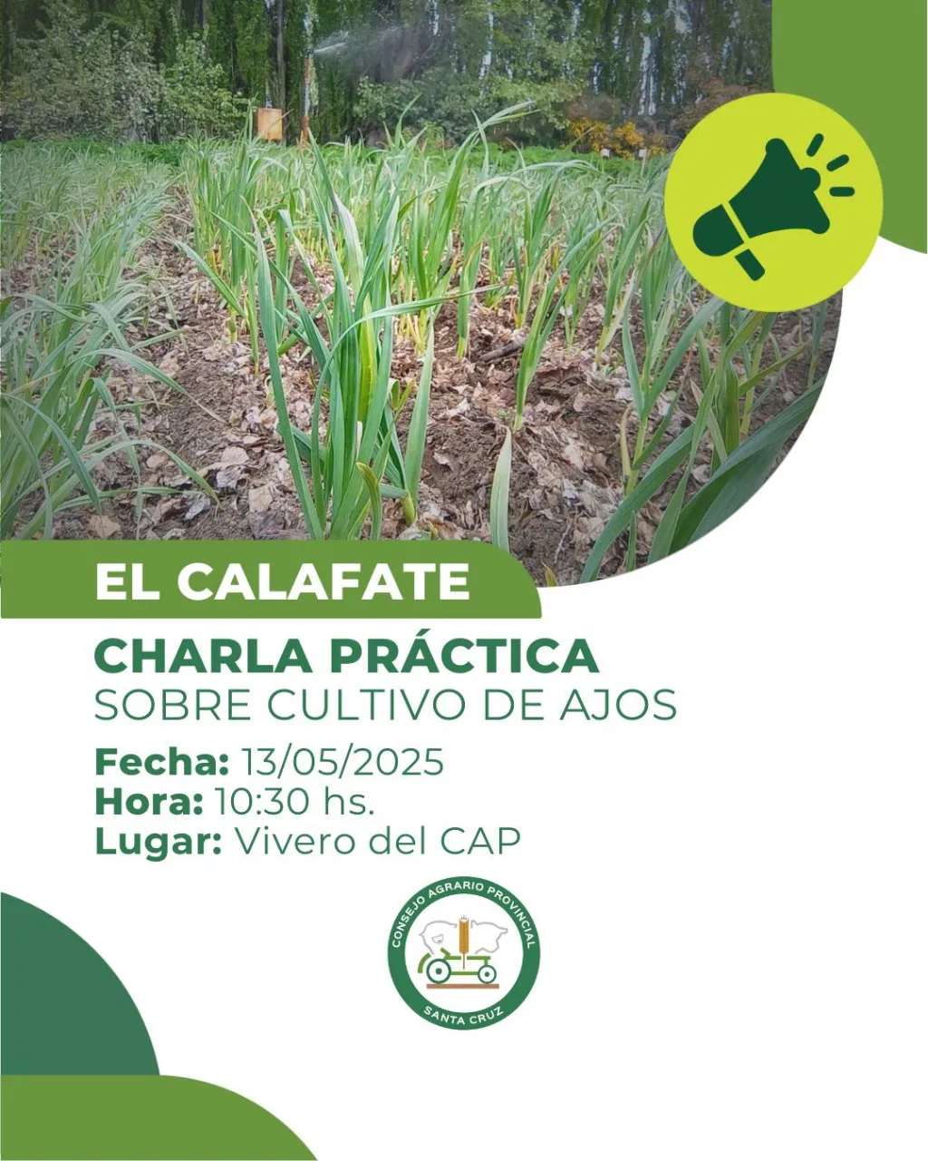 WhatsApp Image 2025-05-08 at 08.13.37