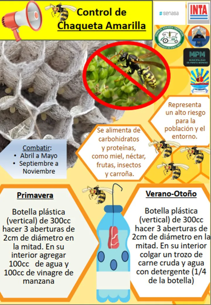 486640852_966267118973188_9090782983989478455_n