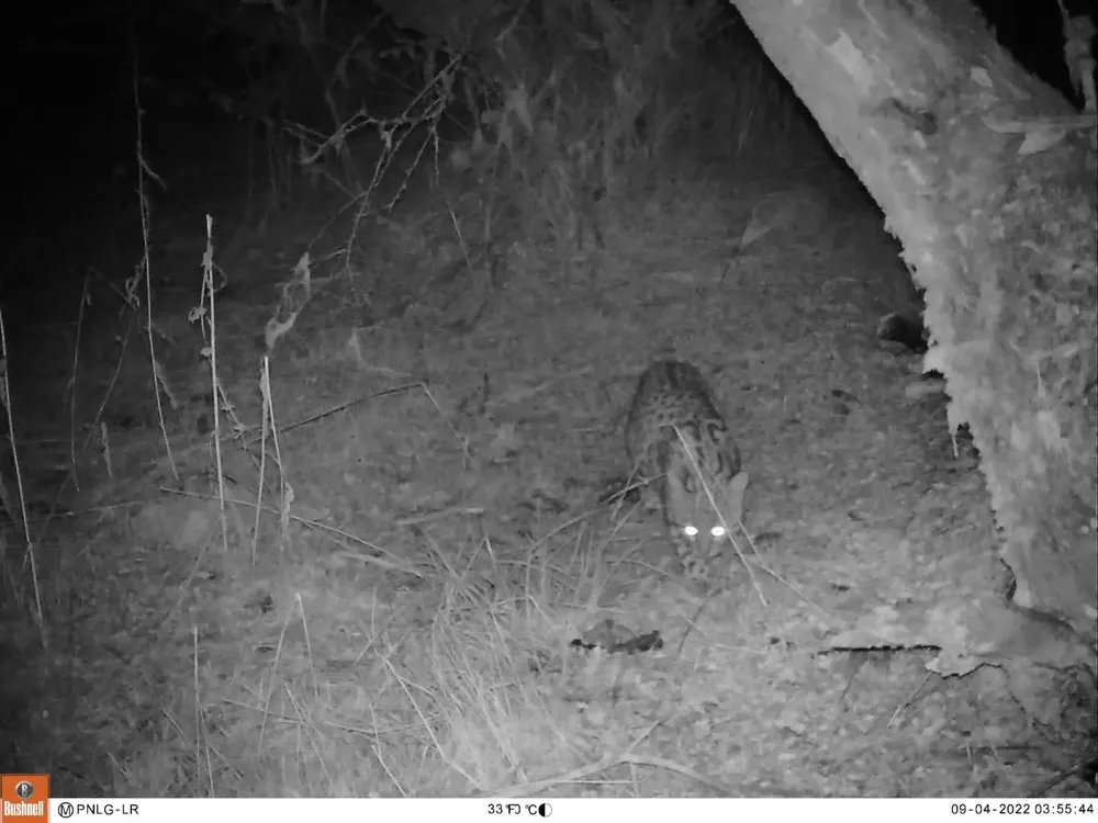 332525722_735411244791784_1209062826467887589_n