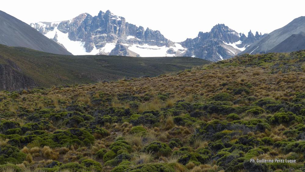 P1450214 [AUDIO FMD]