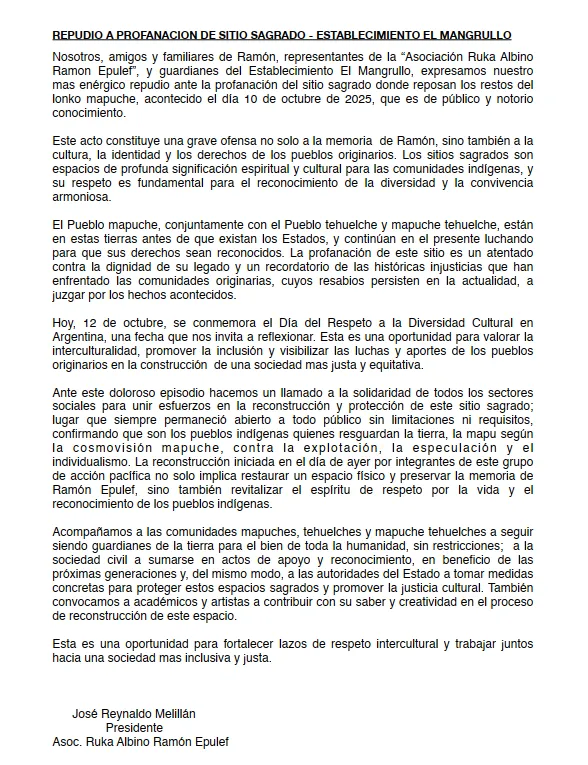 Captura de pantalla 2025-10-12 194744