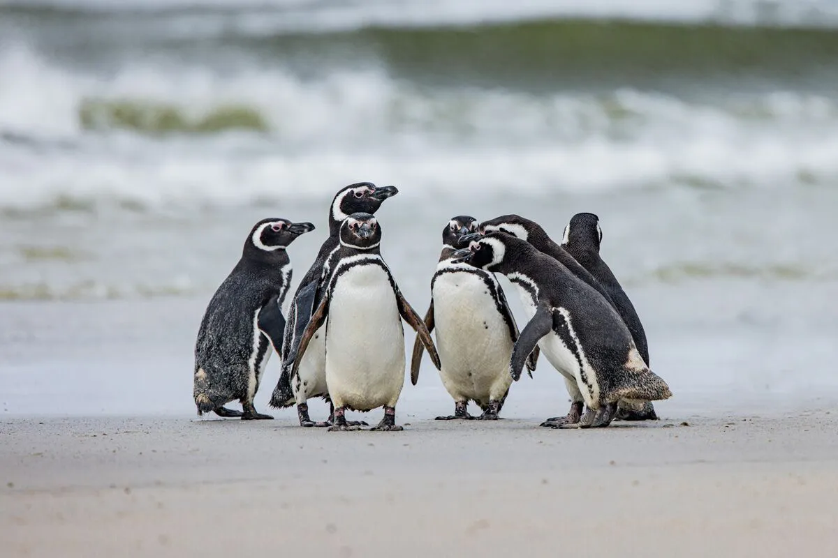 623303643_762501986895992_4336534770662911466_n