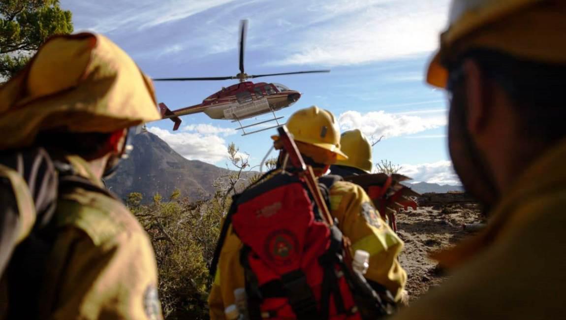 WhatsApp Image 2021-03-15 at 21.13.01