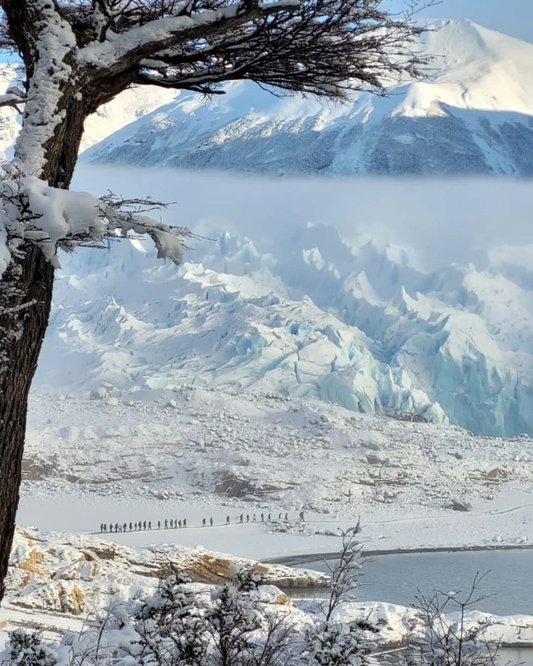 WhatsApp Image 2026-03-11 at 11.06.05