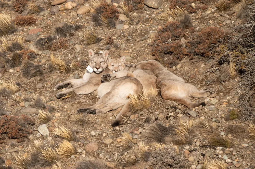 Imagen de WhatsApp 2024-02-08 a las 18.57.53_cf5fe33d