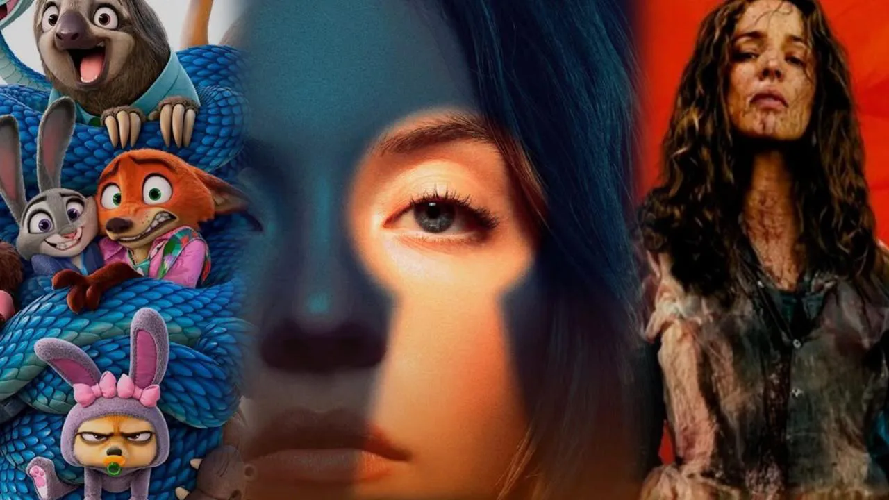 WhatsApp Image 2026-02-05 at 18.39.42