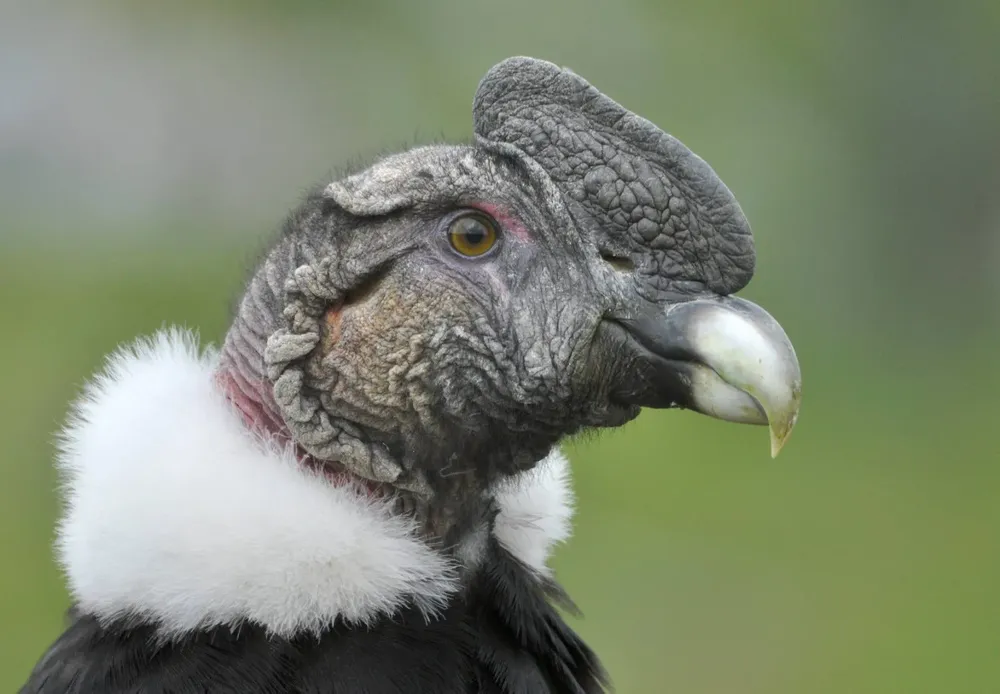 515726151_1154645560026407_6425753650091140027_n