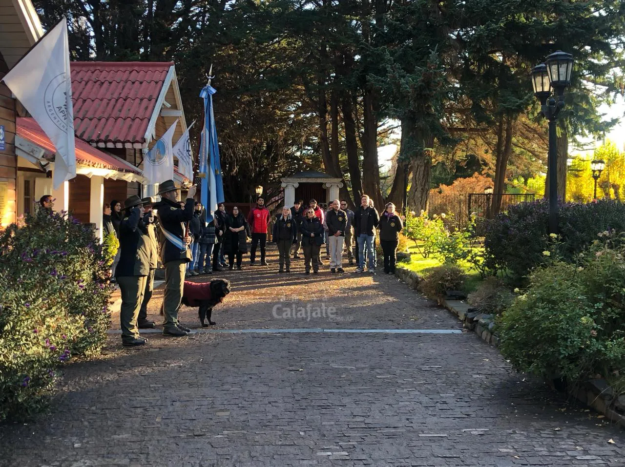 WhatsApp Image 2025-05-12 at 13.33.36