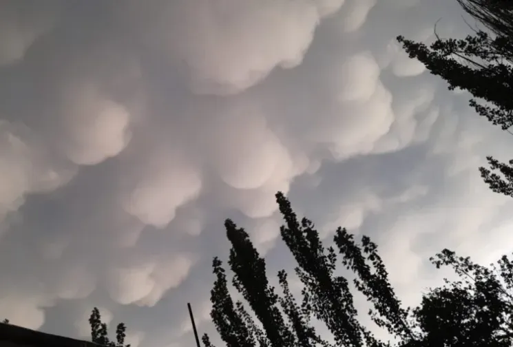 Captura de pantalla 2025-01-09 153817