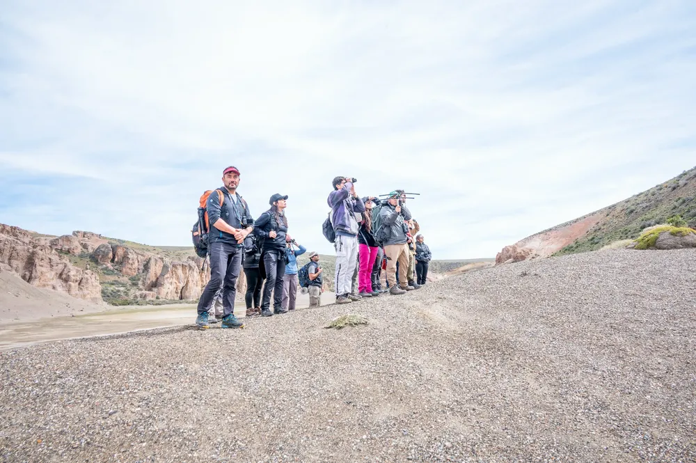Taller avistaje de Puma - Parque Patagonia - Horacio Barbieri_-3~1