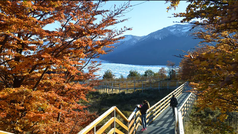 Captura de pantalla 2025-04-12 141739