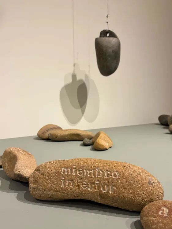 WhatsApp Image 2025-02-26 at 14.02.01