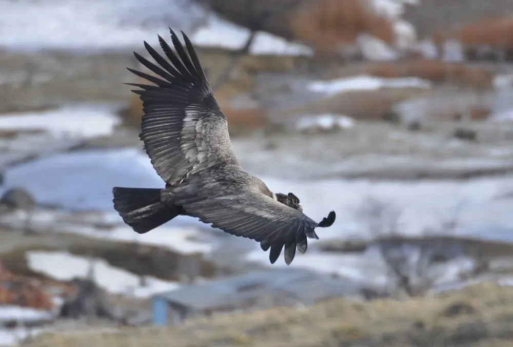 517258511_1154645813359715_7129971244315731697_n