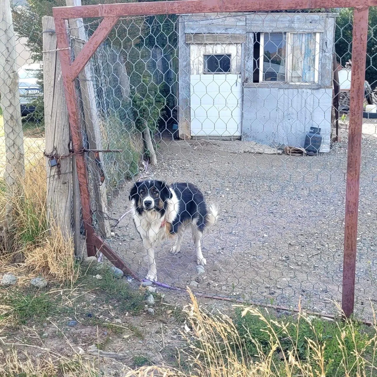 WhatsApp Image 2026-01-28 at 20.10.40