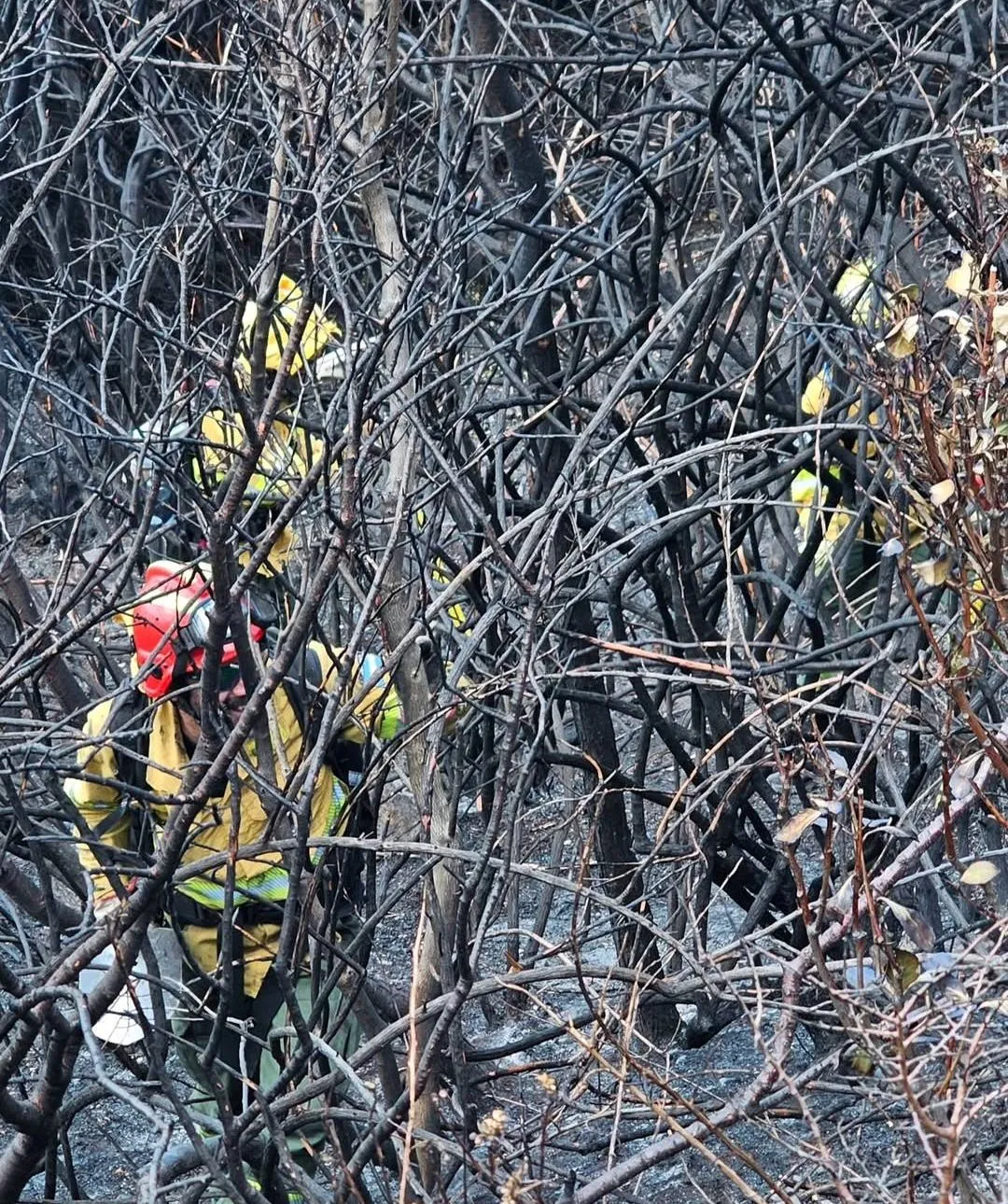 620000939_893899419676143_6495688364531673943_n