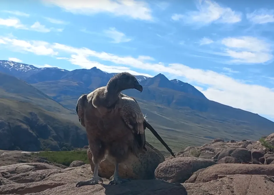 Captura de pantalla 2024-10-24 132339