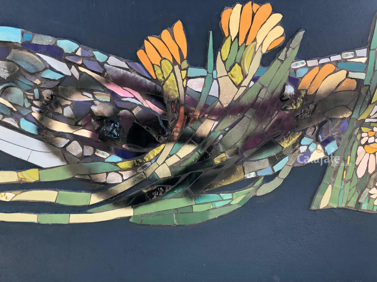 WhatsApp Image 2025-04-13 at 19.54.06(1)