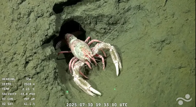 Captura de pantalla 2025-07-30 164021