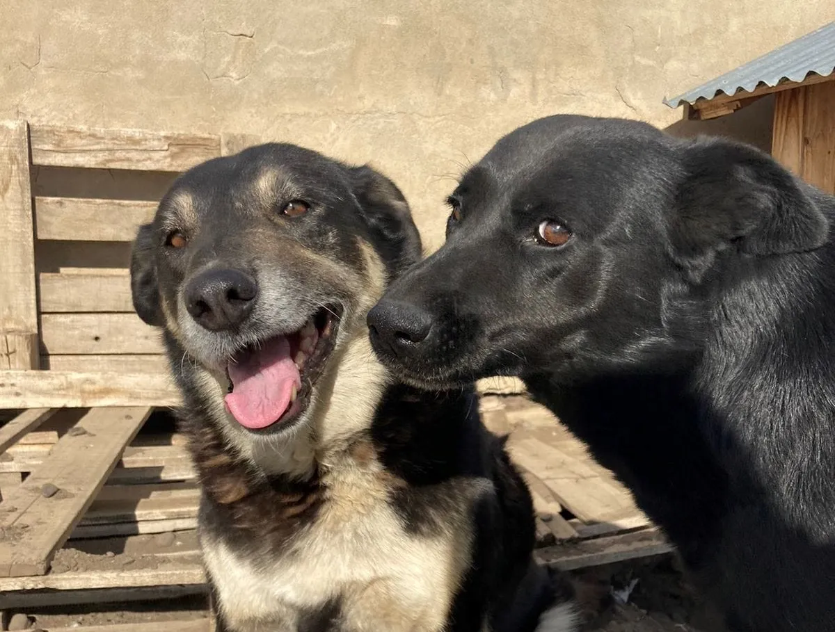 428708858_782329553927055_7033189919595334283_n