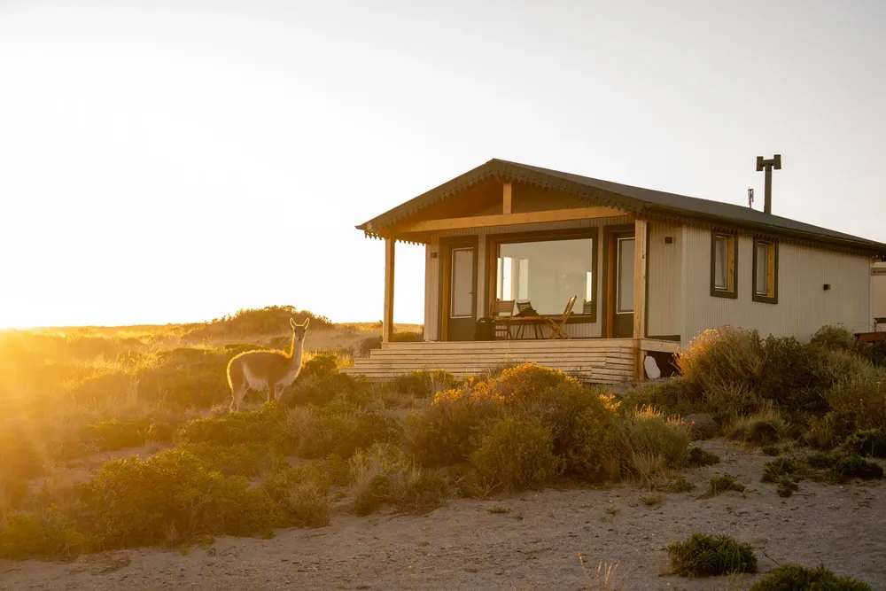 Camps - snorkel - Portal Isla Leones  @andivillarreal - Patagonia Azul - Marzo 2025-9 (1)