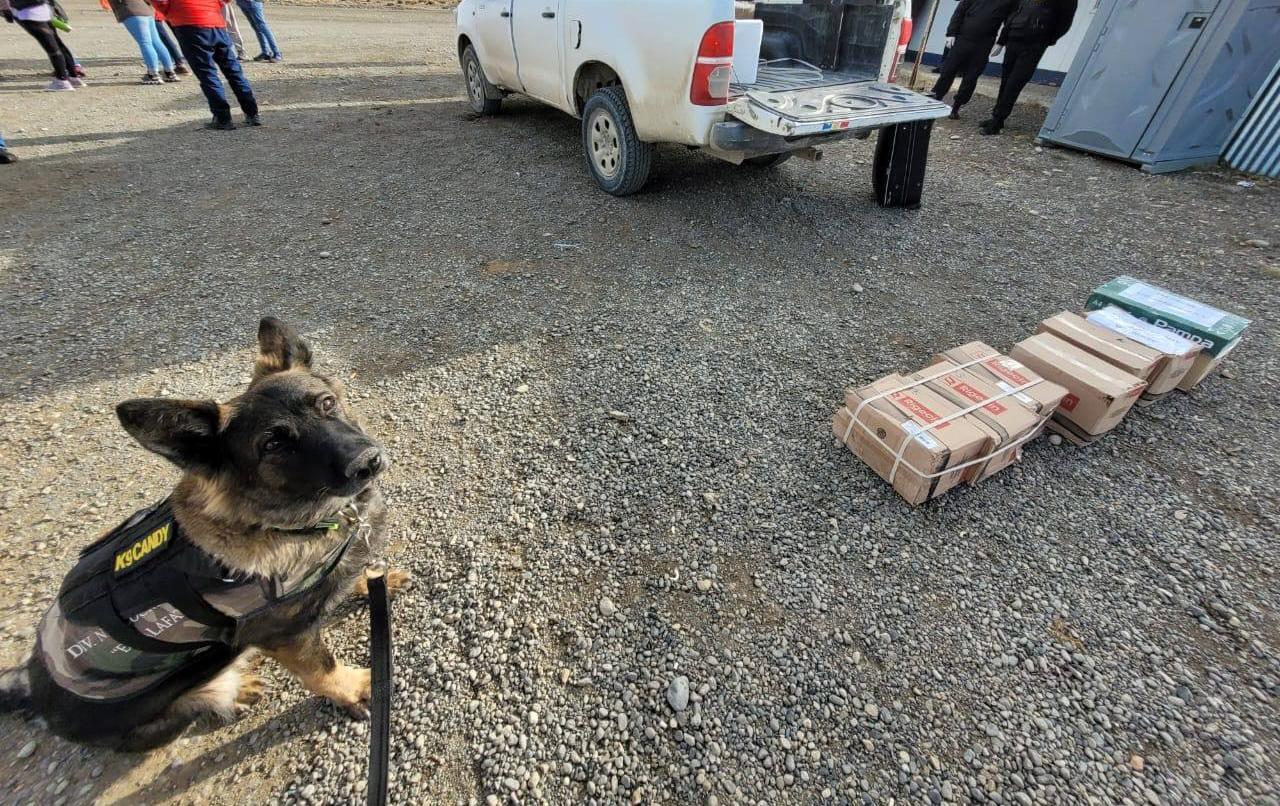 WhatsApp Image 2023-05-11 at 23.01.50