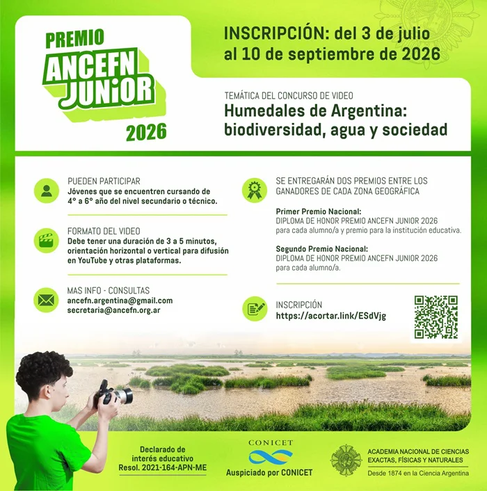 01 JUNIOR 26