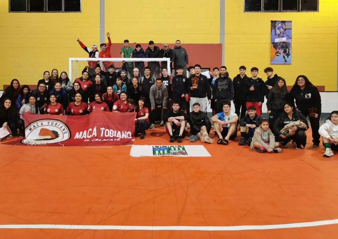 Tapa Handball Maca Tobiano
