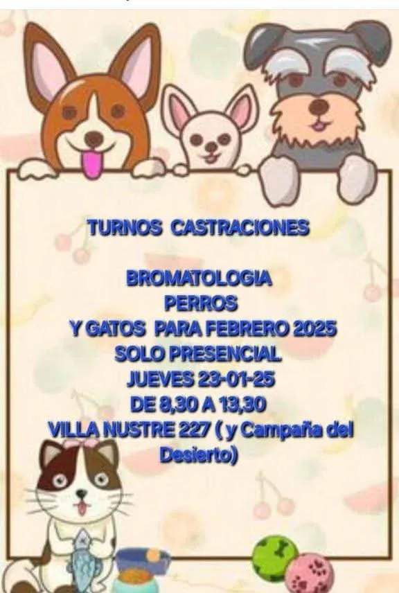 A67B2266-9066-40A4-B3FC-F4A211FC3A76