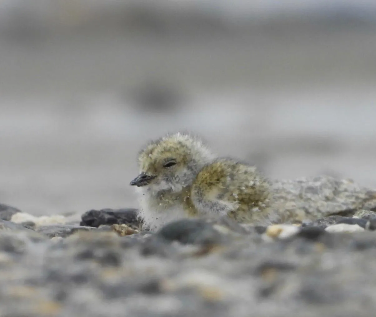 WhatsApp Image 2025-09-18 at 14.31.12(2)