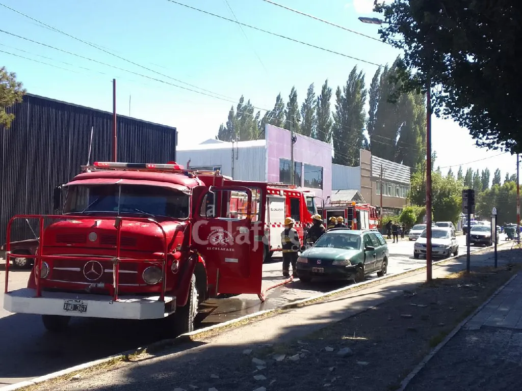 Imagen de WhatsApp 2024-03-03 a las 00.06.08_6981baa9~1