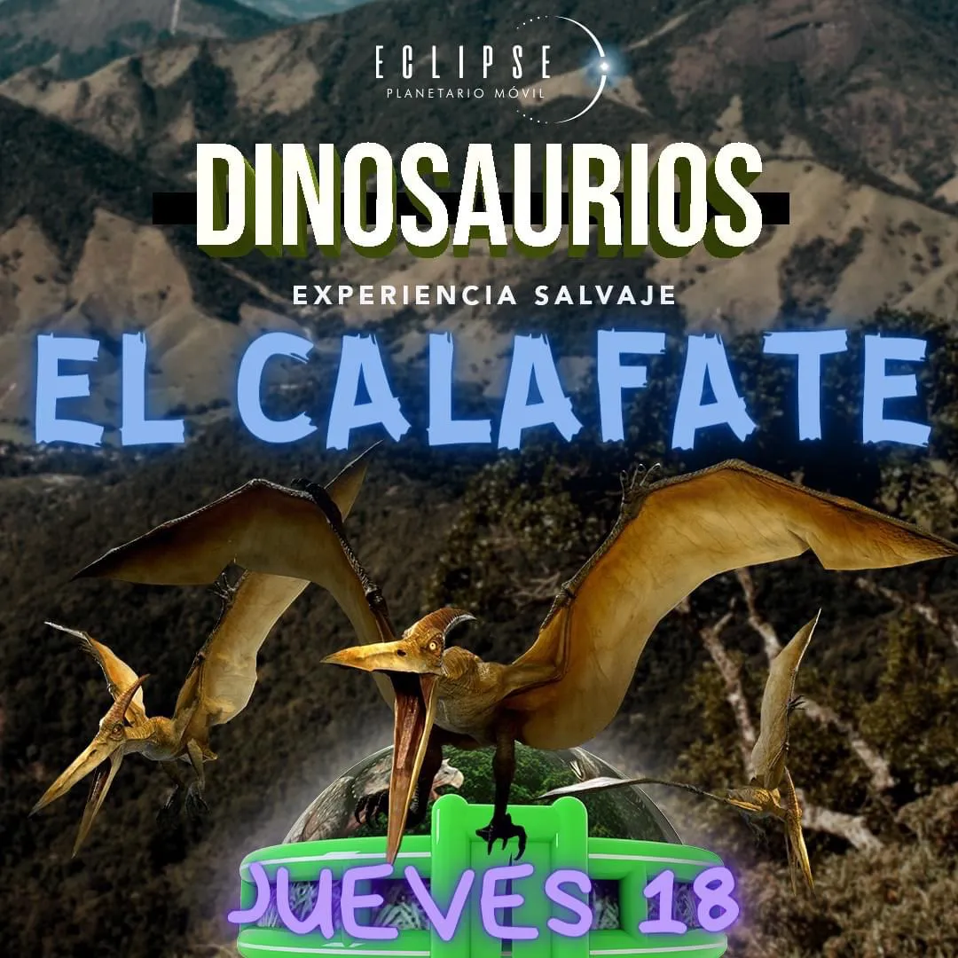 89F2D7DB-211B-4947-8A0F-832F6A7B4362