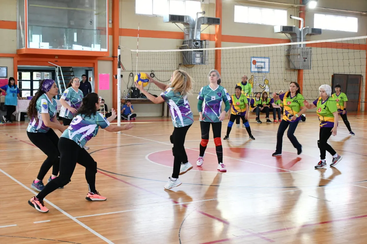 multimedia.normal.998051282cc97d32.SU1HLTIwMjQwNTA0LVdBMDAzMF9ub3JtYWwud2VicA==