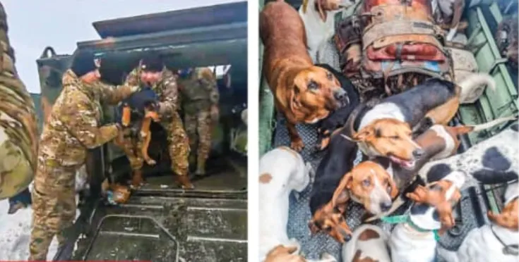 Captura de pantalla 2024-07-08 074131