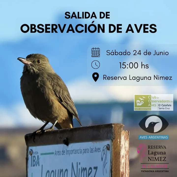 FB_IMG_1687472682632