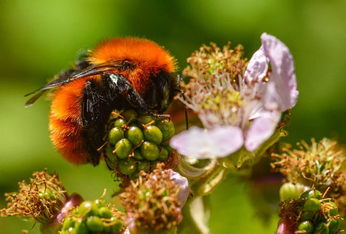 A46CD1D3-A60D-443F-9D3E-59A173664F72