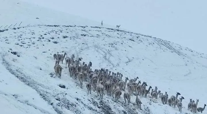 d9579d83-45ed-4a0d-8ff3-096fcacf7462