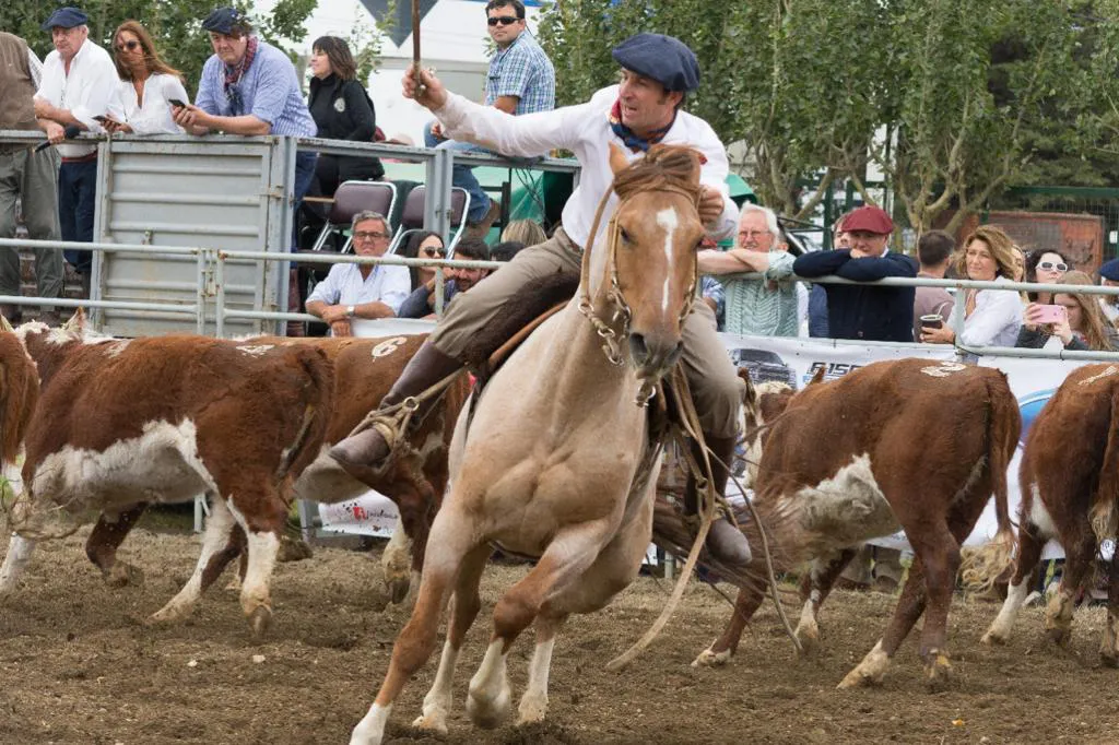 multimedia.normal.a8ec9e497a98745d.4170617274652043616d7065726f20323032315f6e6f726d616c2e6a7067