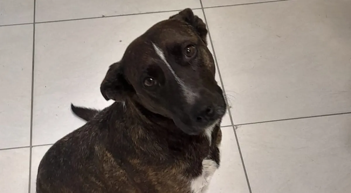 WhatsApp Image 2025-12-16 at 12.29.48