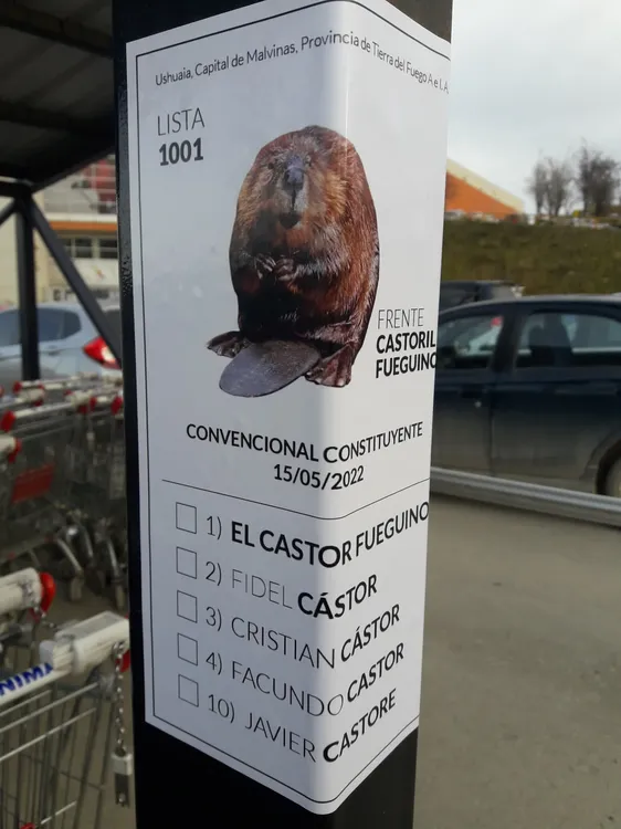 20220515 Eleccciones constituyentes reforma Carta Orgánica