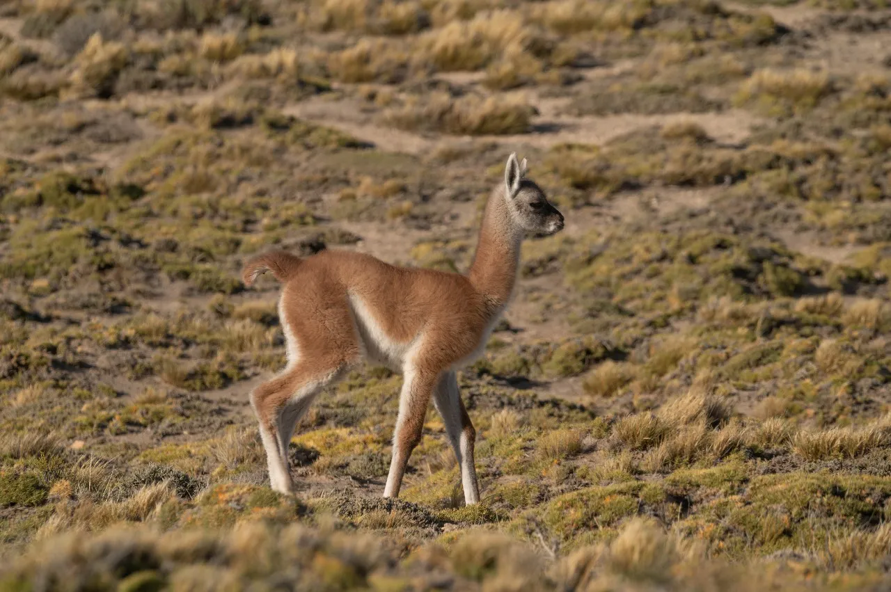 WhatsApp Image 2023-12-01 at 10.03.47