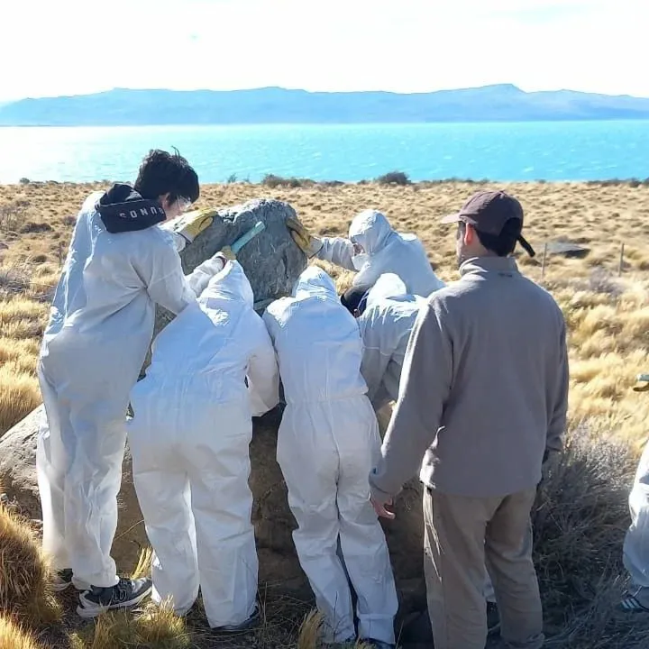 Los Guardianes del Paisaje Patagónico 3