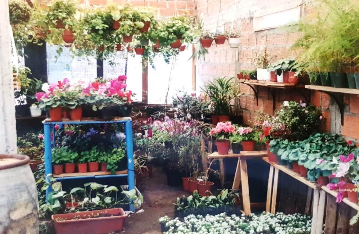 vivero Los Coirones 1