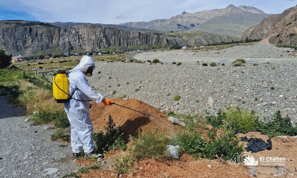 fumigaciones chalten