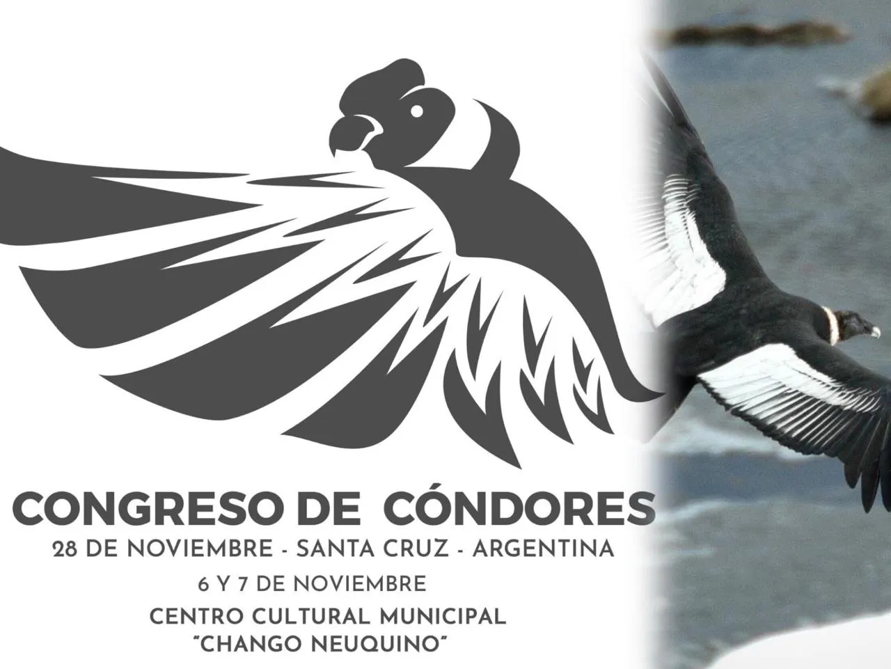 WhatsApp Image 2025-11-04 at 13.13.15